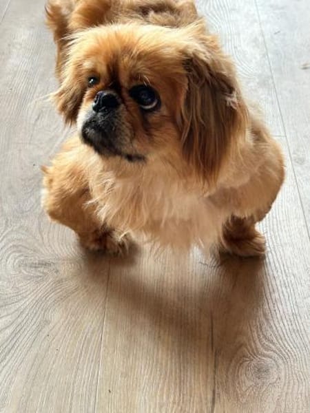 Sonnenschein sucht Dich