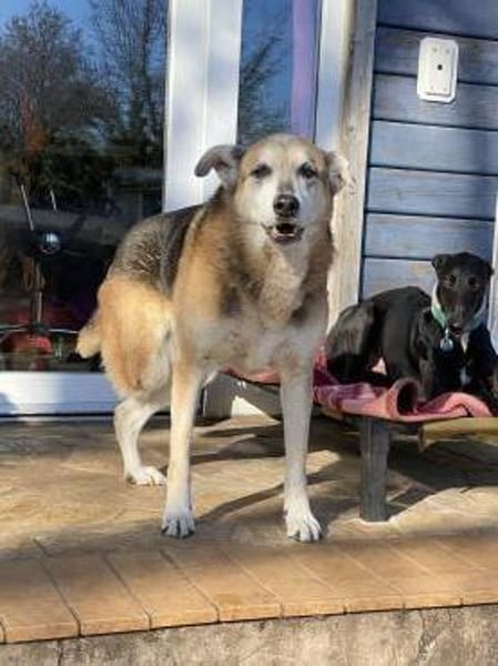 3-Bein sucht nach Amtfreigabe