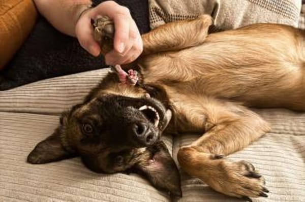 Carolina - wartet in 41539 Dormagen