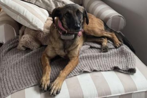 Carolina - wartet in 41539 Dormagen