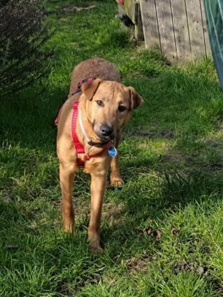 Tequila,zarte Entdeckerin sucht Anschlus