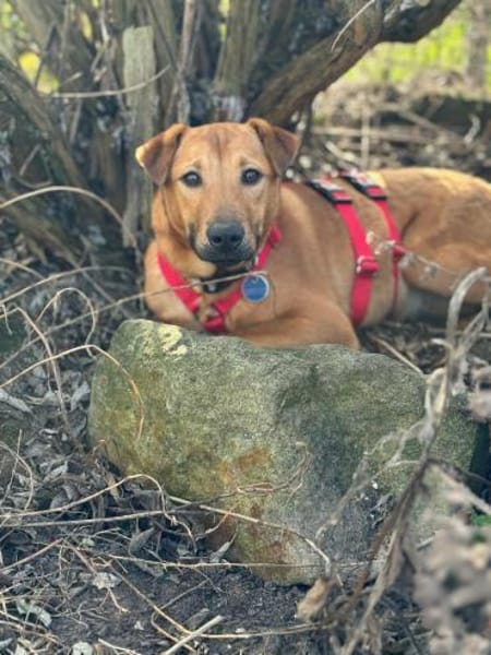 Tequila,zarte Entdeckerin sucht Anschlus