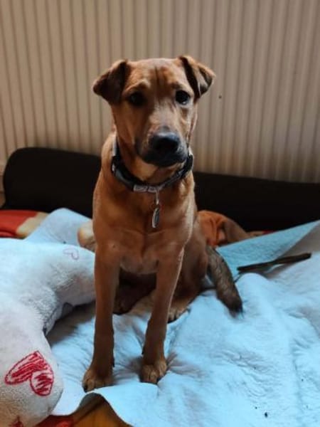 Tequila,zarte Entdeckerin sucht Anschlus