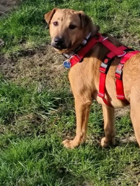 Tequila,zarte Entdeckerin sucht Anschlus