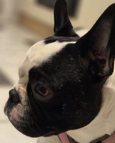 Kalle sucht dringend Ort zum Ankommen