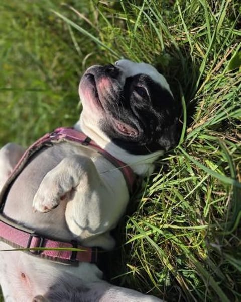 Kalle sucht dringend Ort zum Ankommen