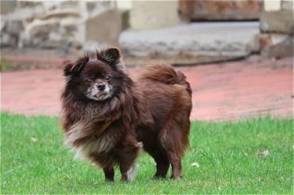 ***BIENE und NINJA!***