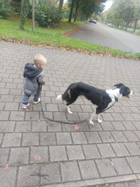 Odin sucht ein neues Zuhause