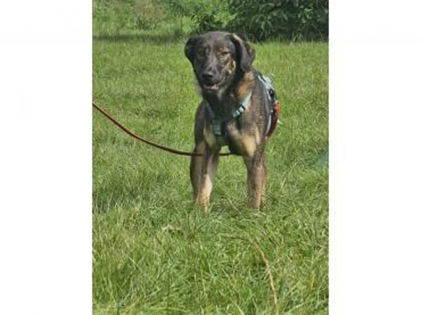 Edith  wartet in 56379 Oberwies