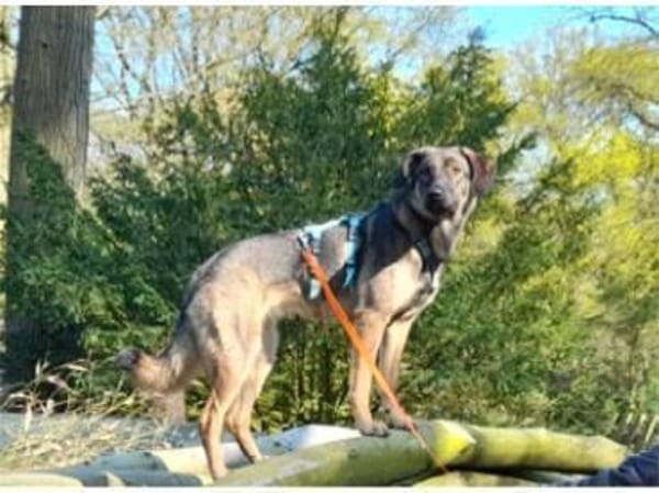 Edith  wartet in 56379 Oberwies