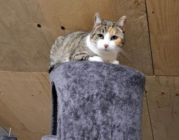 Baby sitzt auf gepackten Koffern