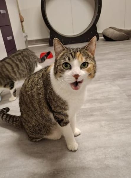 Baby sitzt auf gepackten Koffern