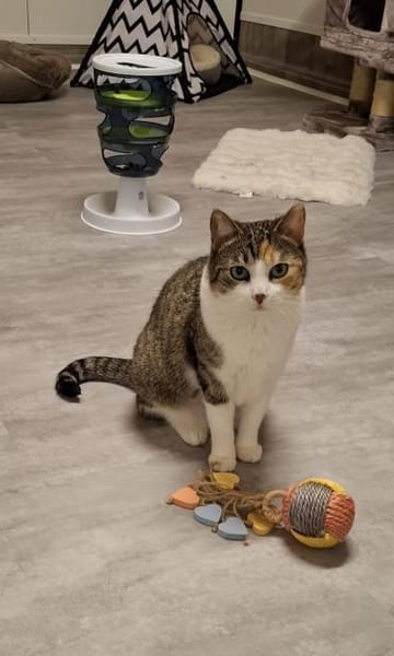 Baby sitzt auf gepackten Koffern