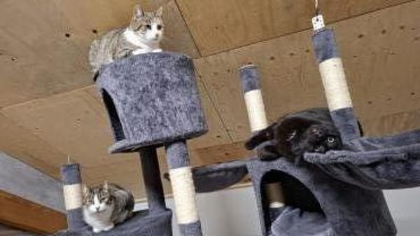 Baby sitzt auf gepackten Koffern