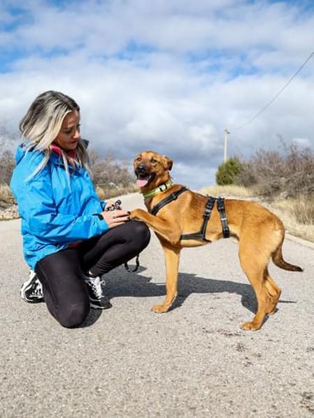 Joschi  ein Freund fürs Leben💕
