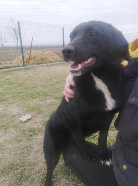 Coco sprüht vor Lebensfreude