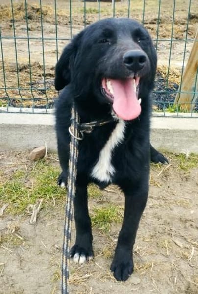 Coco sprüht vor Lebensfreude