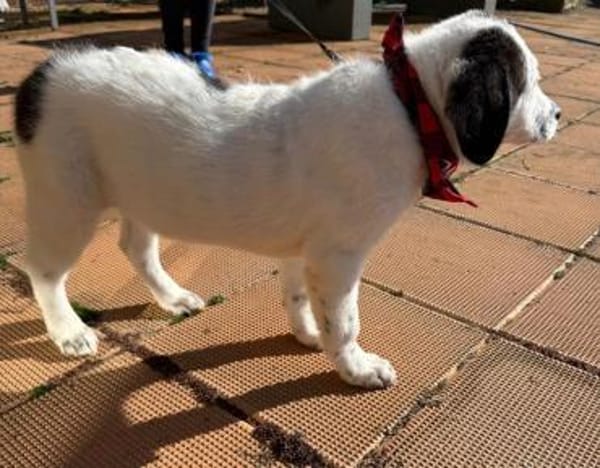 Nelly eine süße Knutschkugel