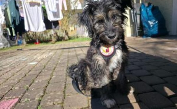 Jona ist bereit für viele Abenteuer