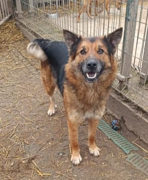 Liebenswerte Flora sucht euch