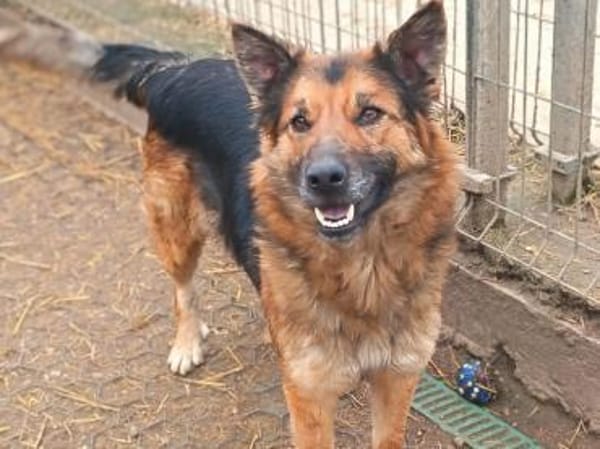 Liebenswerte Flora sucht euch