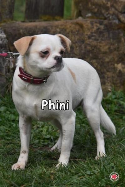 PHINI
