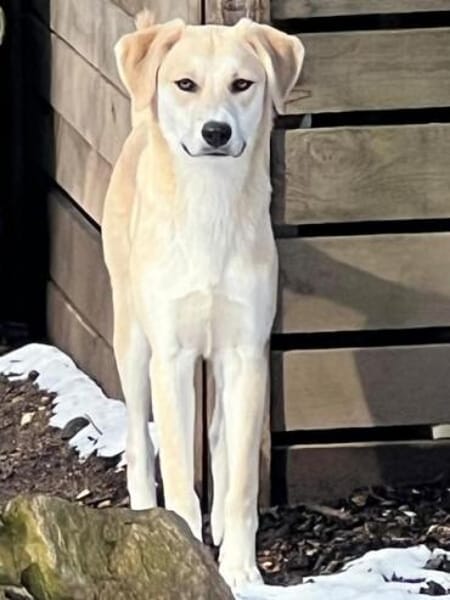 RYA * zartes freundliches Mädchen