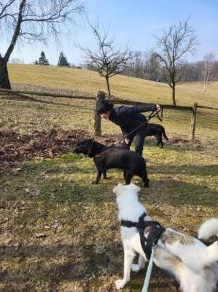 Letztes liebevolles Zuhause gesucht