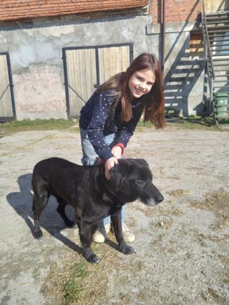 Letztes liebevolles Zuhause gesucht