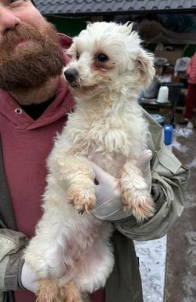 WHITE wurde einfach im Stich gelassen