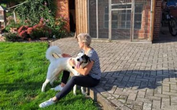 Naira sucht ein geduldiges Zuhause