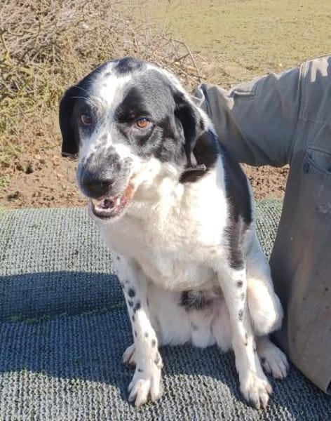 REZ 💙💙💙 ruhig und ausgeglichen