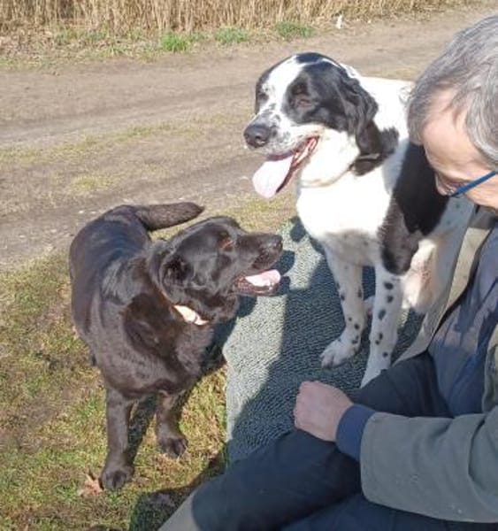 REZ 💙💙💙 ruhig und ausgeglichen