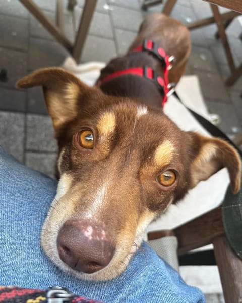 Emil - menschenbezogen, lieb - in DE