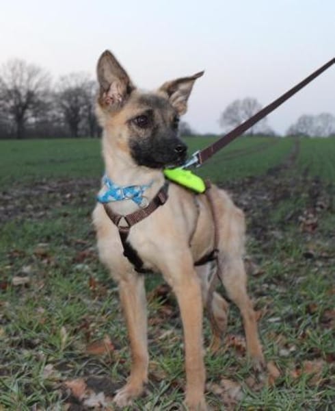 Alice - jung und neugierig - in DE