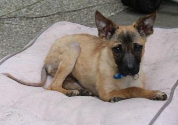 Alice - jung und neugierig - in DE