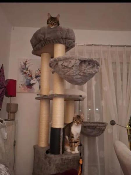 Filou & Valerian  verspieltes Dreamteam