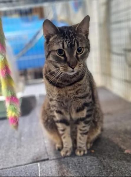 Filou & Valerian  verspieltes Dreamteam