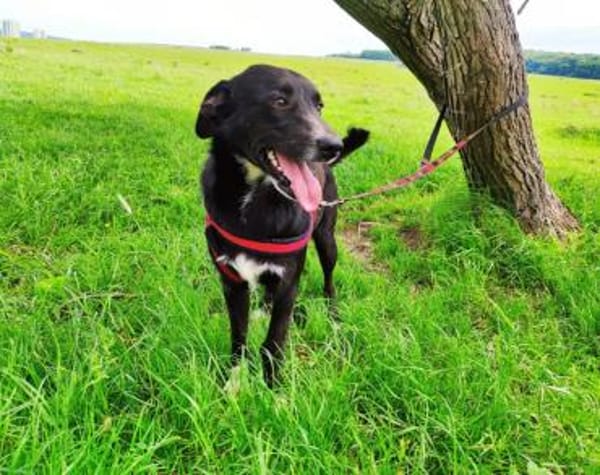 Verliebst du dich in Freddy?