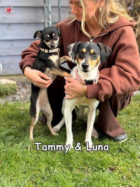 Tammy & Luna