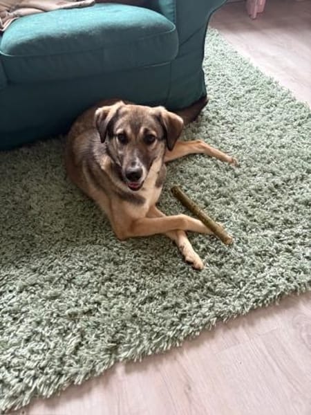 Aktive Dua auf PS in Augsburg