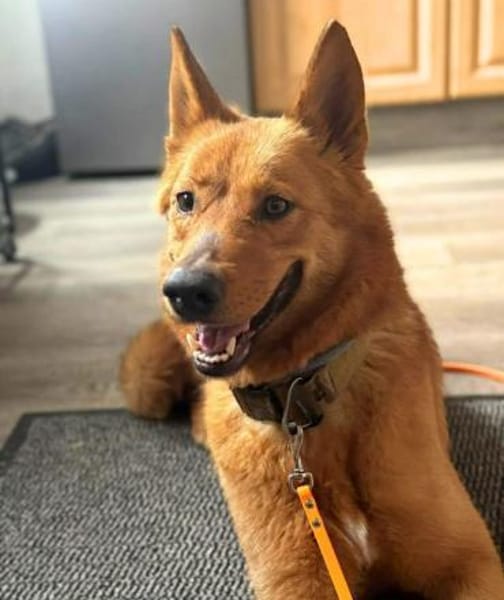 Raya - ist liebevoll&anhänglich