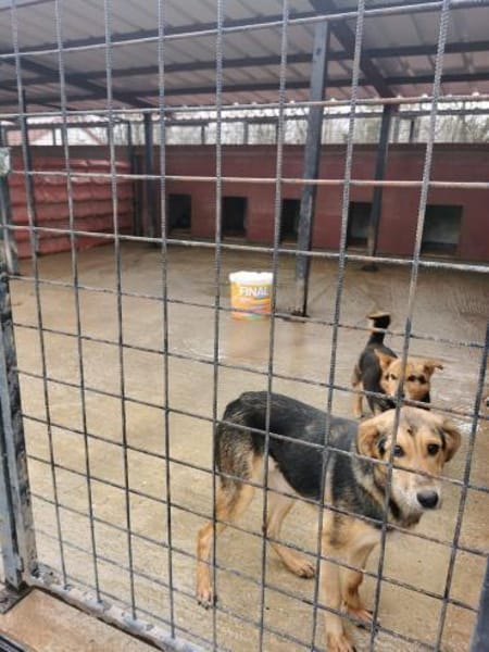 Laja, ein wahrer Sonnenschein..