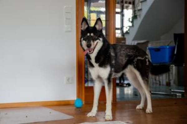 Bonita: verzaubert sie auch dich