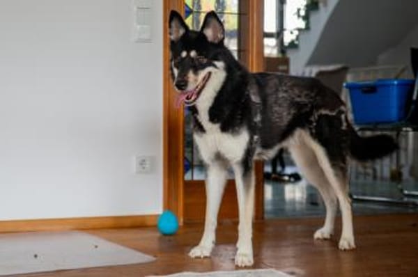 Bonita: verzaubert sie auch dich