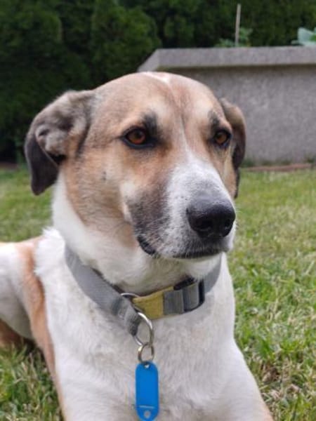 Beautiful Lisa sucht ihre Menschen