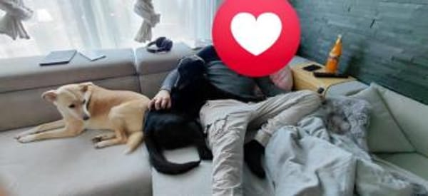 sehr lieber Rimo auf PS in 86637