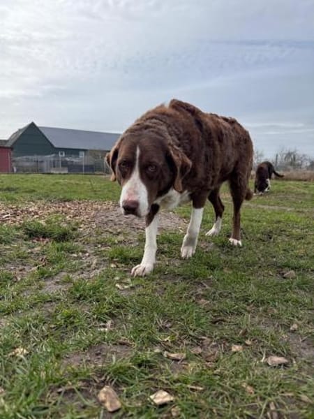 Grete sucht ihre Menschen