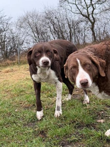 Grete sucht ihre Menschen