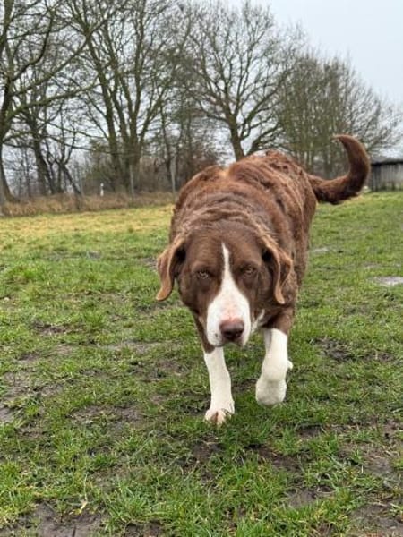 Grete sucht ihre Menschen